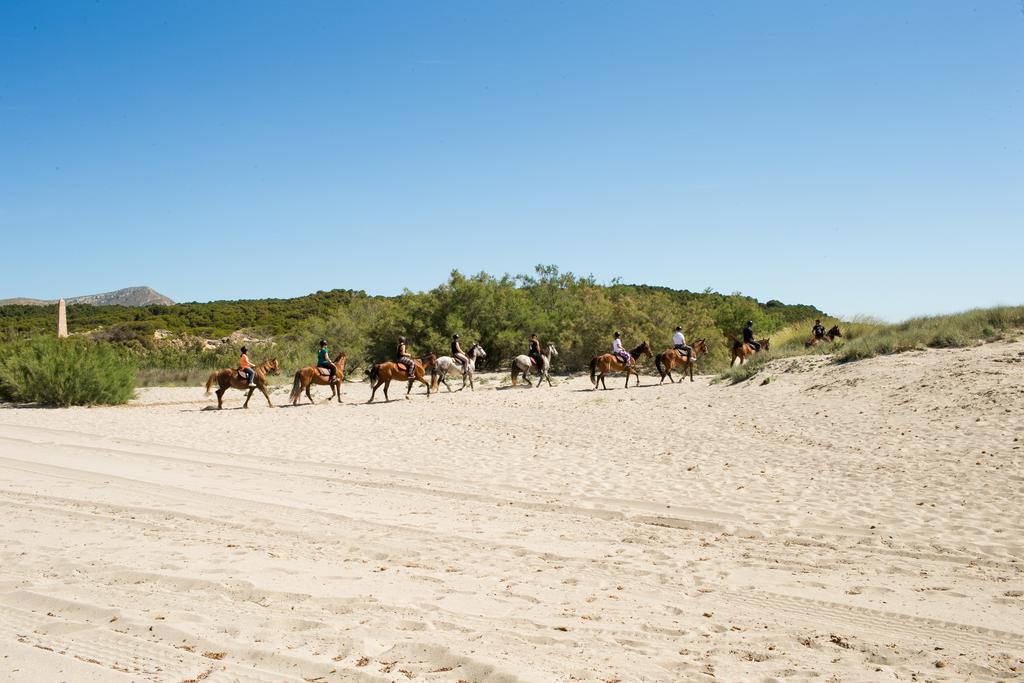 Agroturismo Can Pere Rei Сон-Серра-де-Марина Экстерьер фото
